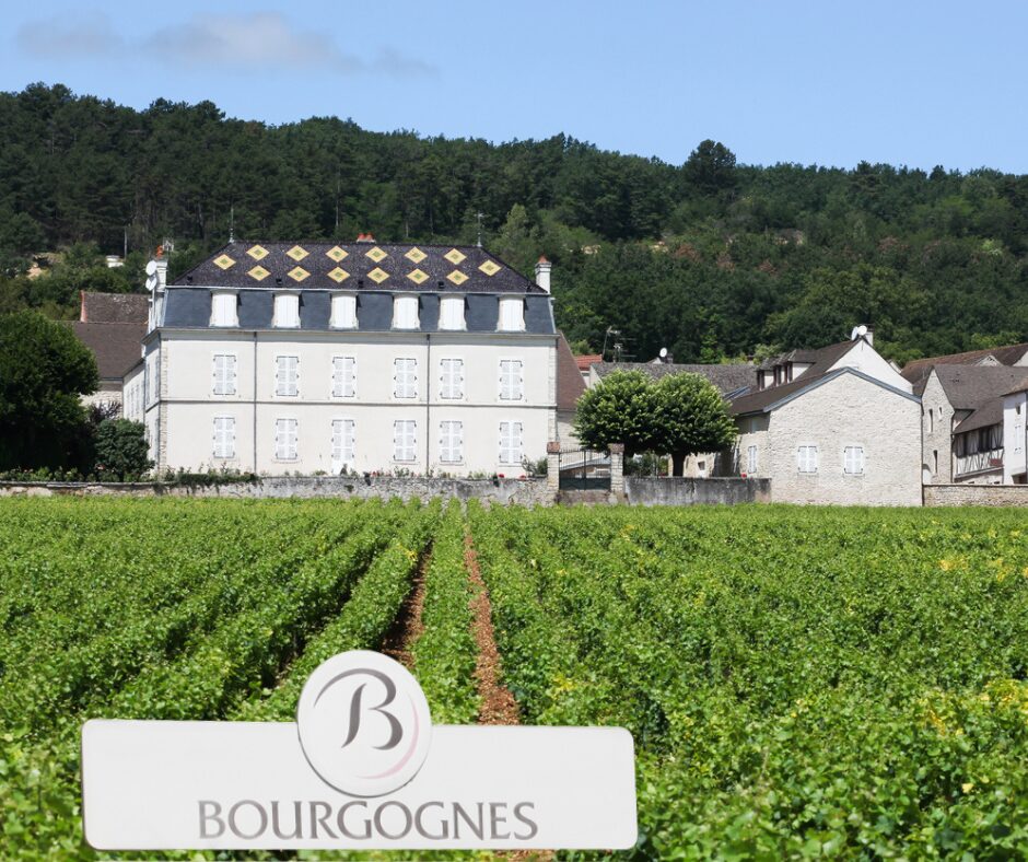 Burgundy Burgundian Chateau with a Bourgogne sign superimposed in the forefront of the vineyards