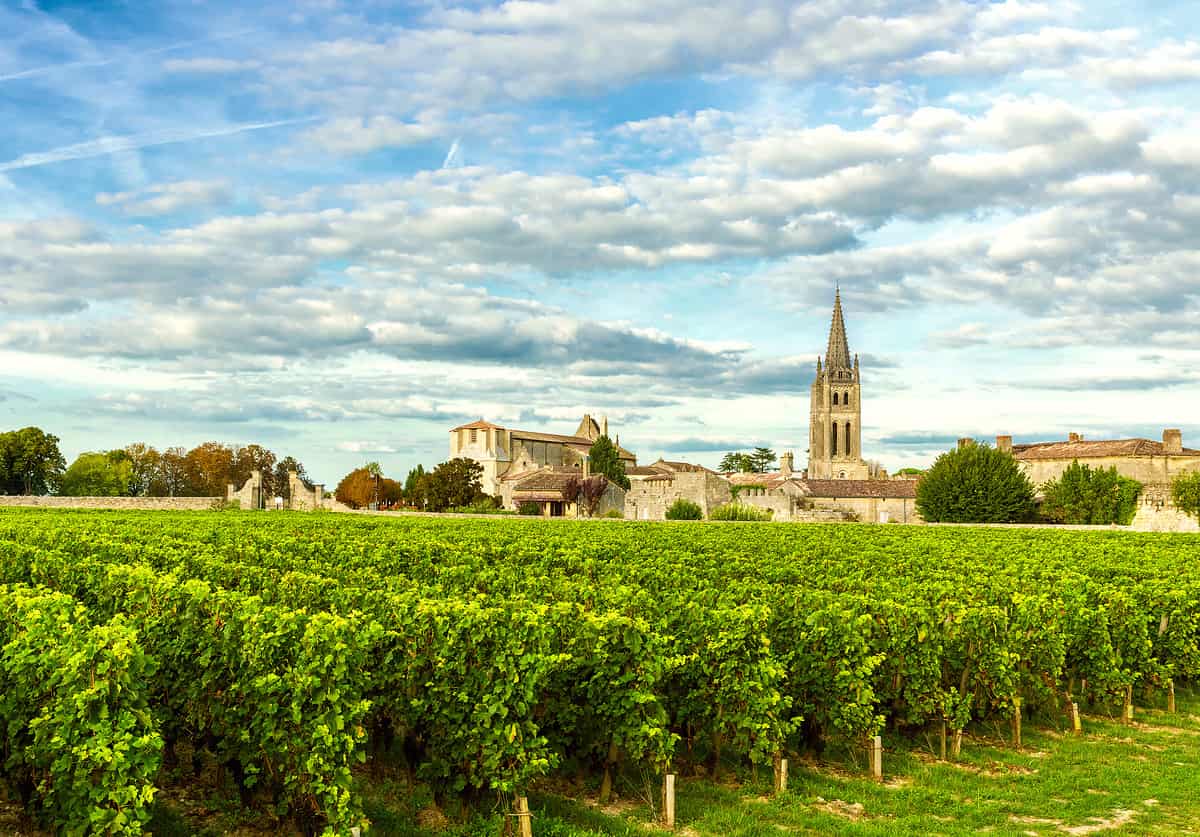 Vineyards of Saint Emilion, Bordeaux Vineyards in France