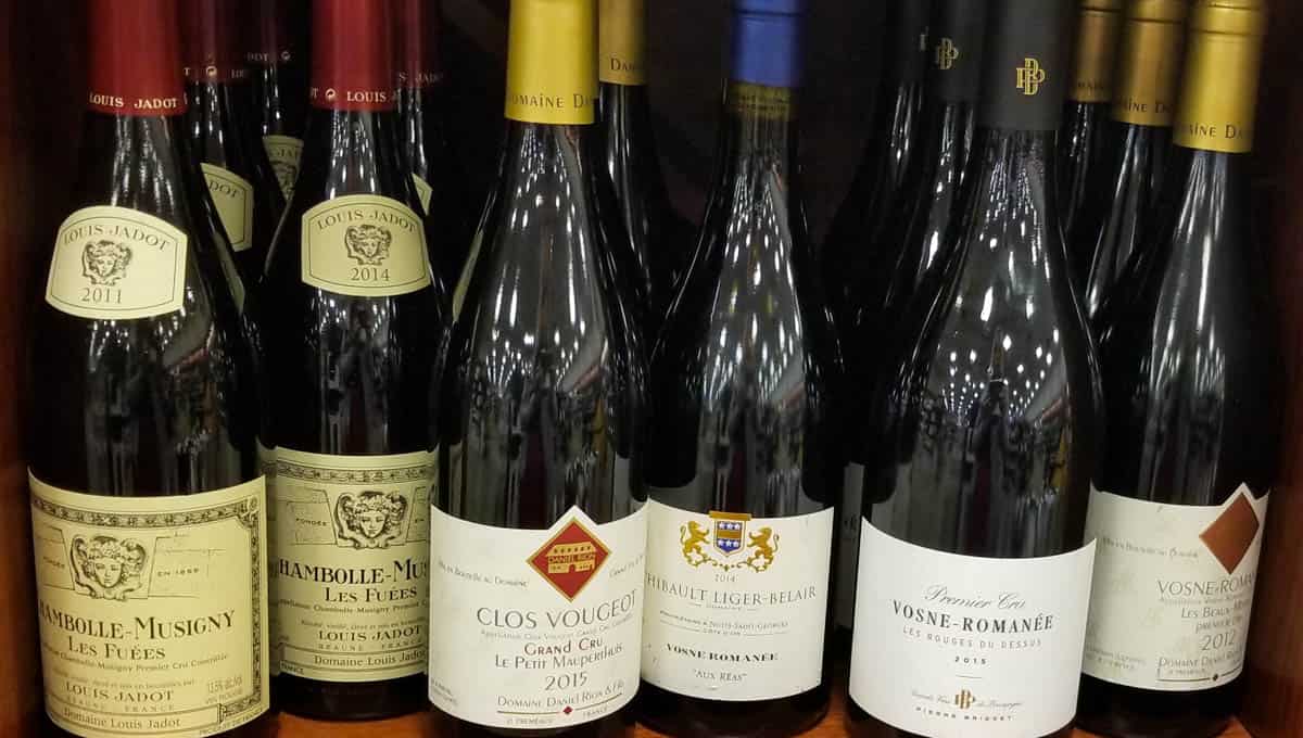 Burgundy Reds 20200212-1