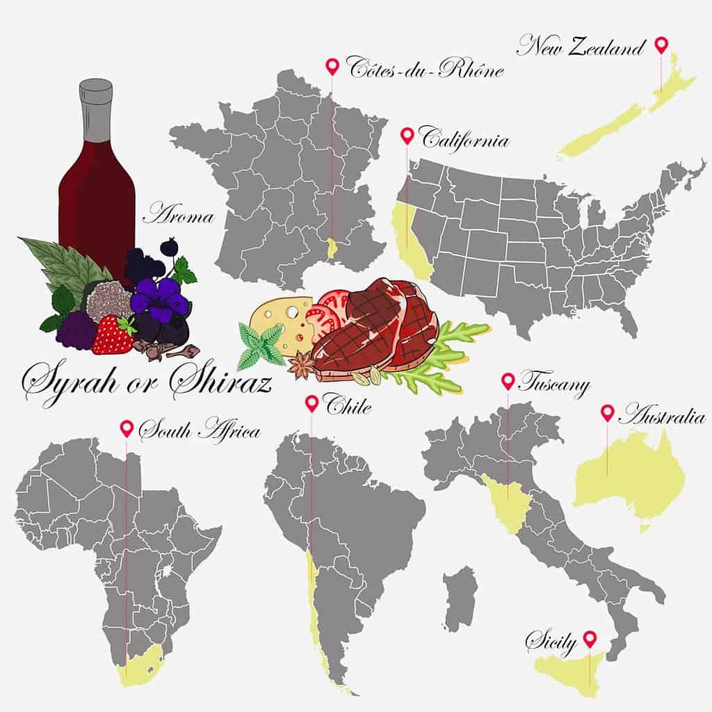An illustration of a red wine bottle with an example of aromas, Includes berries, floral, clove. Shows a vineyard map and food that matches the wine. Shows the countries that grow Shiraz/Syrah: France, US, South Africa, Chile and Italy.