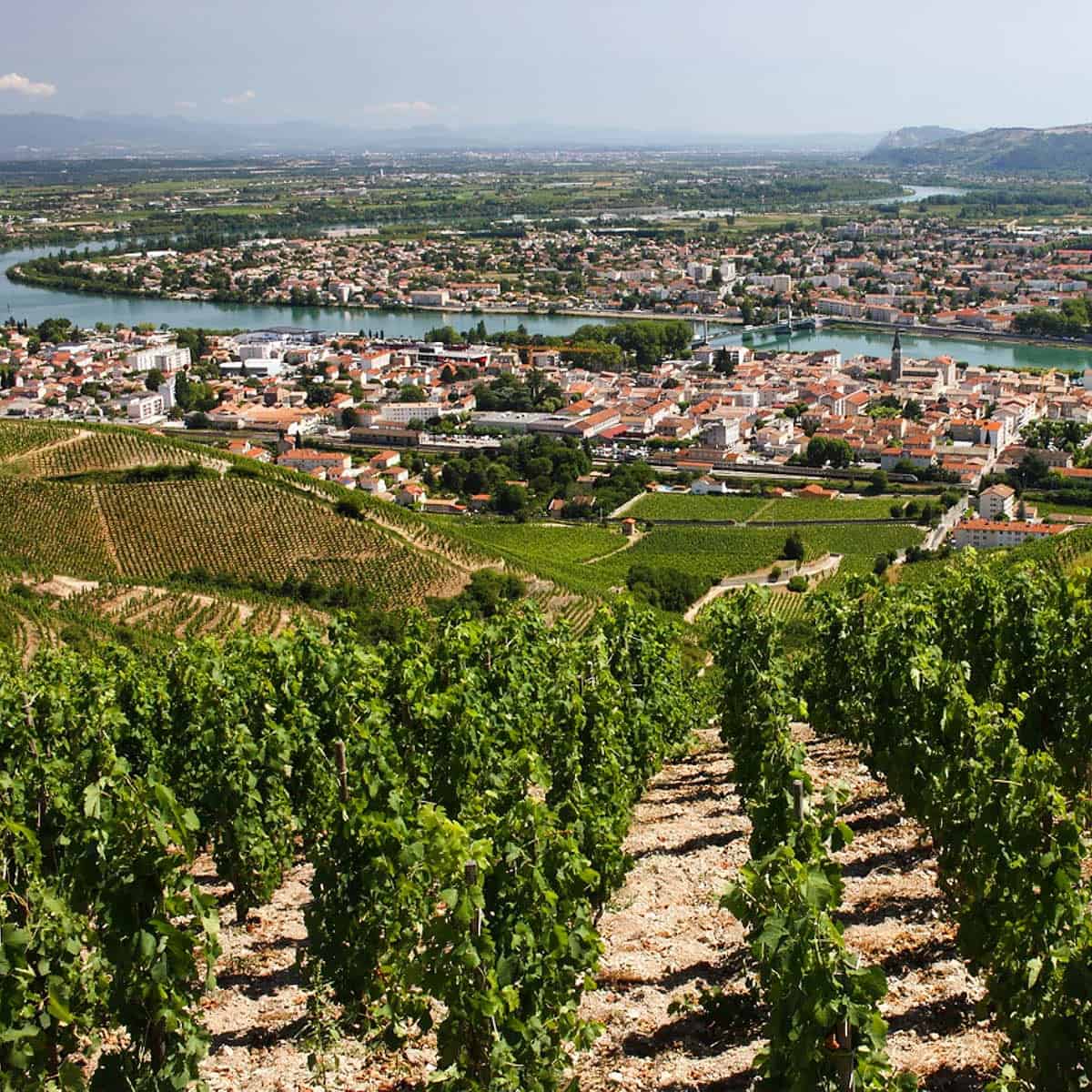Tain L’ Hermitage wine vine monastery church Valley of the Rhone France Tain L'Hermitage, Landscape, vineyard and vineyard of the Rhone Valley France 2017