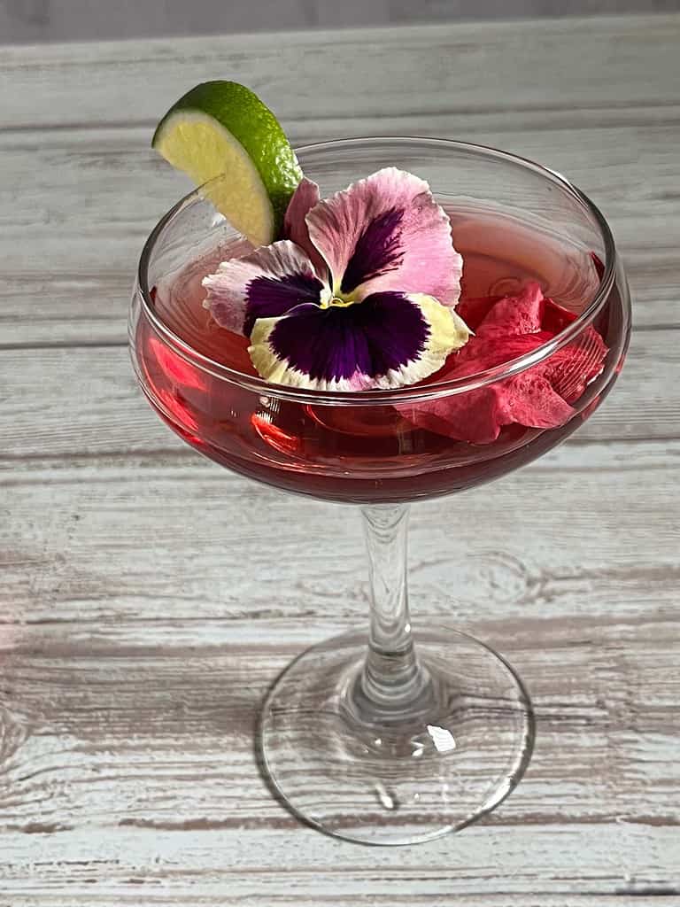 Queens Cup Coacktail with deep ruby colored liquid in glass coupe with lime wedge, purple pansy and pink rose petal.
