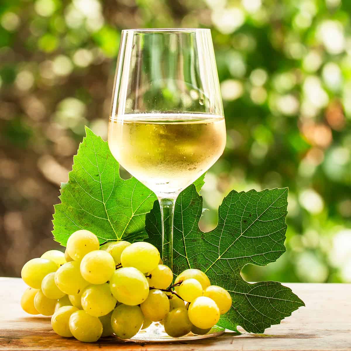 Glass of golden Chardonnay sitting in front of Chardonnay leaves and behind a Chardonnay grape bunch.