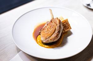 Single lamb chop in a brown jus and a parnsip puree on a large round white plate