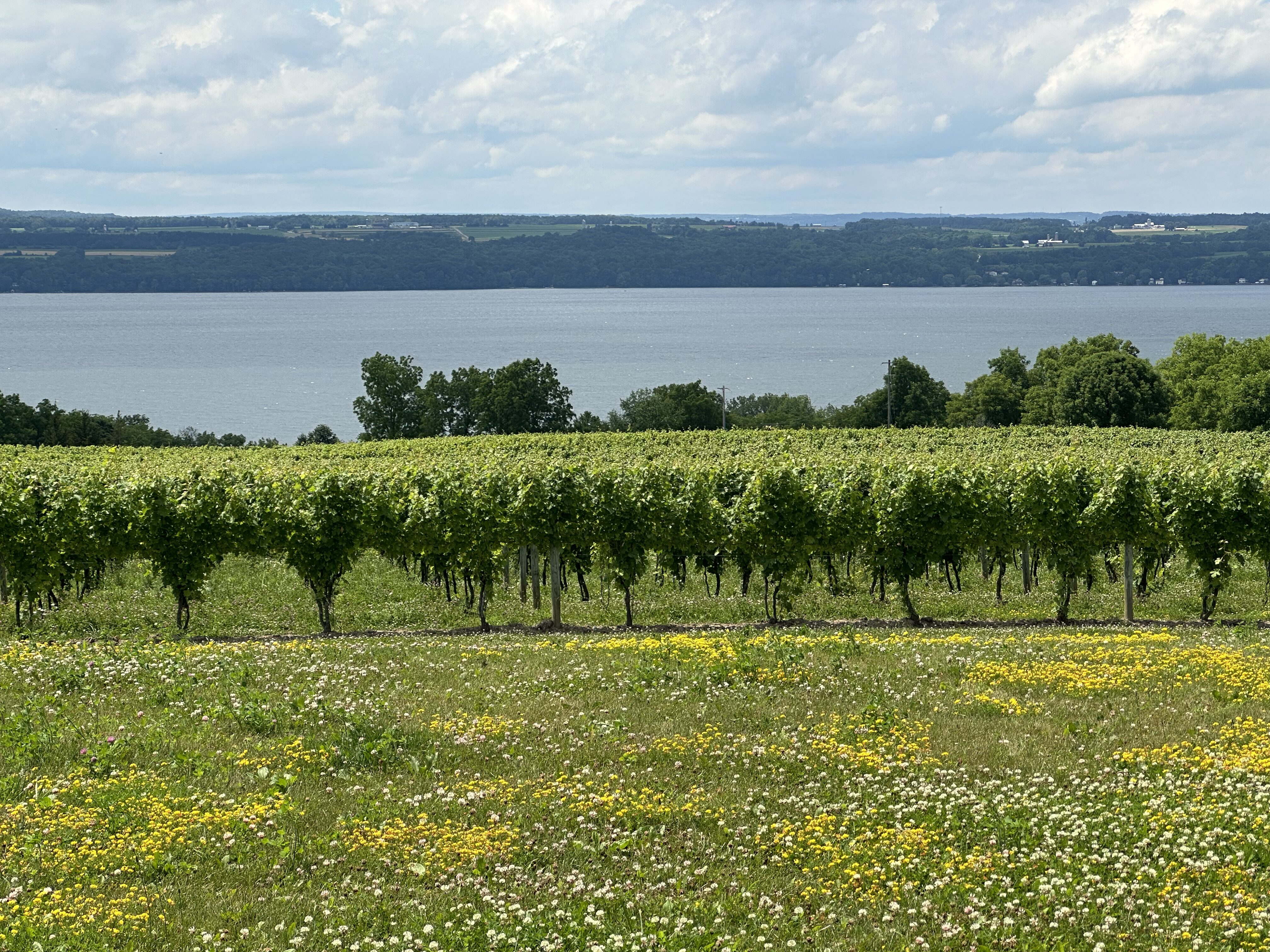 2024-06-30_Boundary Breaks – Lake View
