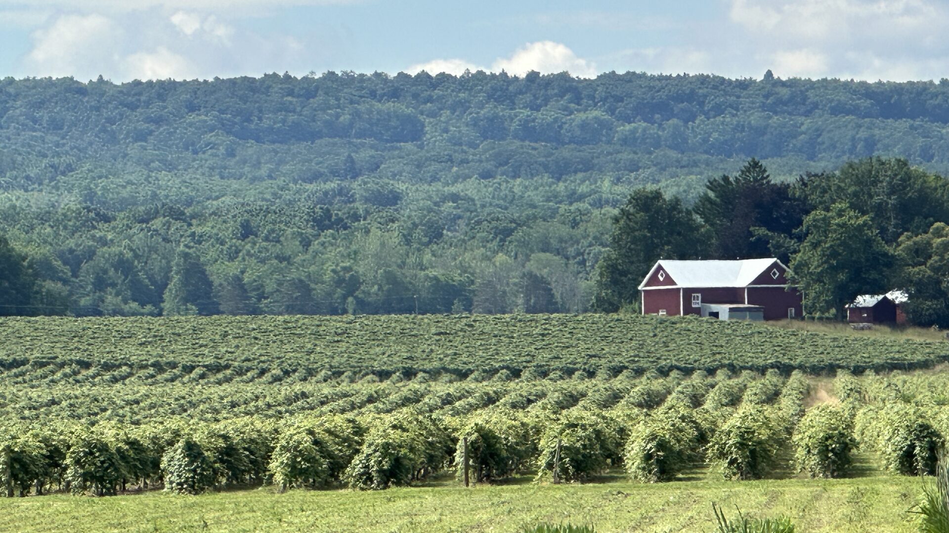 Niagara ALong the Road 1920×1080