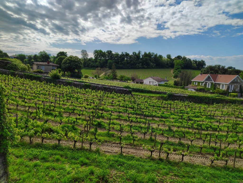 Saint-Émilion medieval village and vineyards
