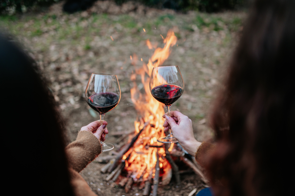 ack view two young women holding and tasting a glass of red wine. Warming next to fire. back view two young women holding and tasting a glass of red wine. Warming next to fire.
