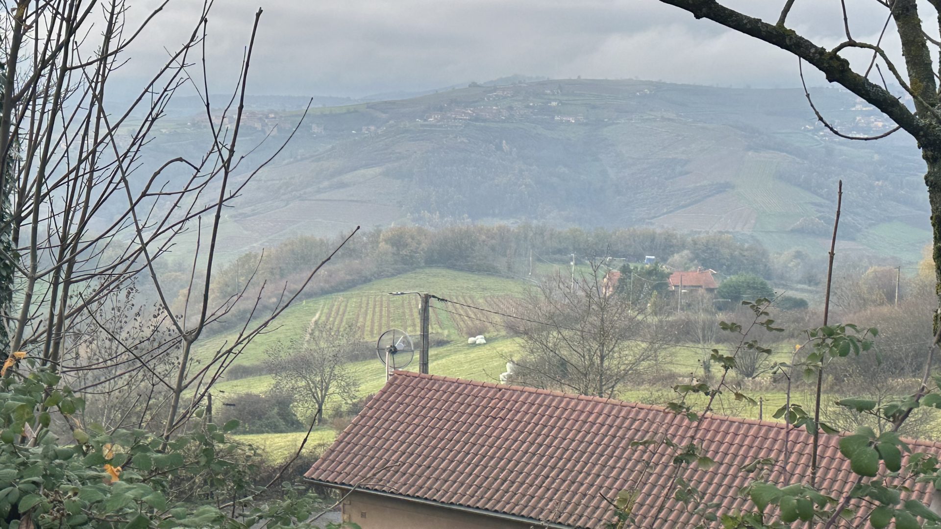 Burgundy Vineyard 1920×1080