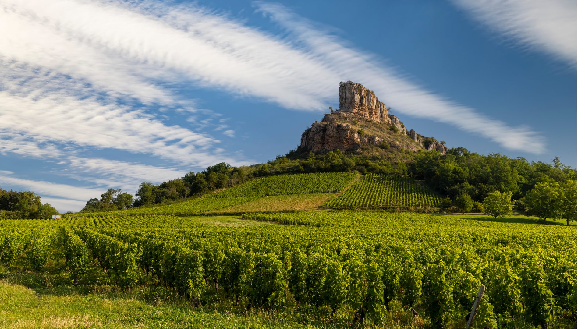 Pouilly-Fuisse 1920×1080