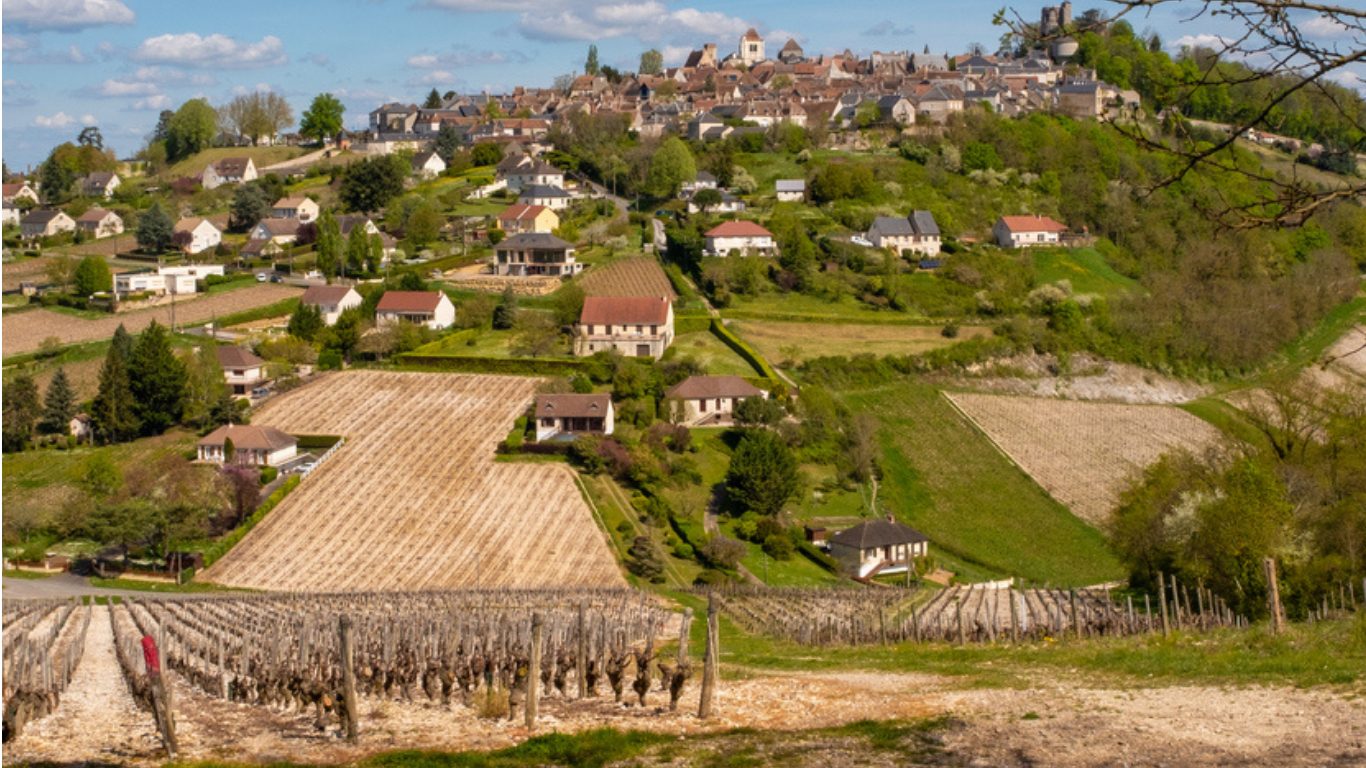 Sancerre Vineyards 800×600 Village of Sancerre in the background uphill and foreground going back uphill are the vineyards