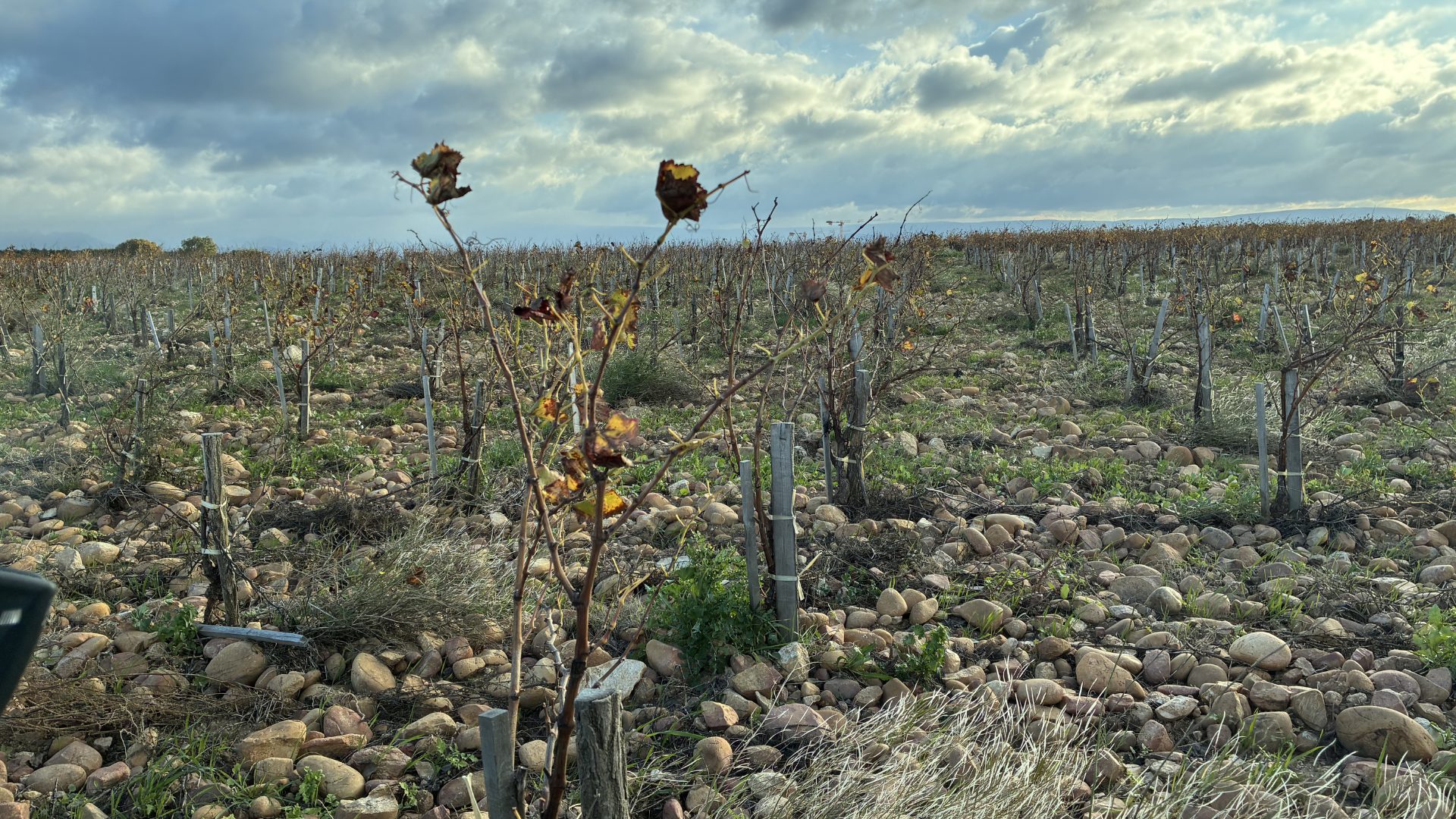 CdP village and galets roulés soil 1920×1080