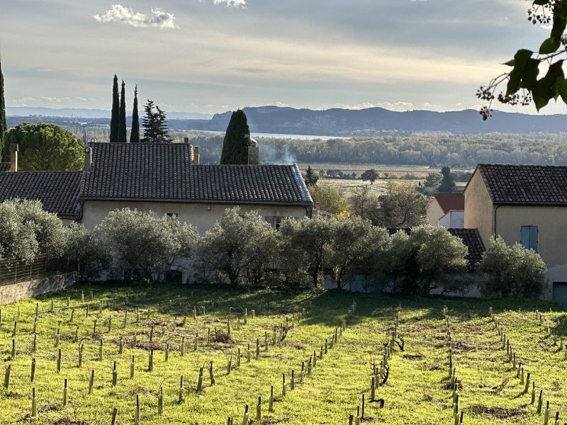 CdP vineyard with river in back