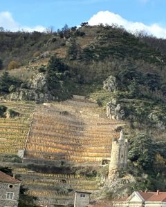 View of steep terraced Northern Rhone vineyards in Tain l'Hermitage