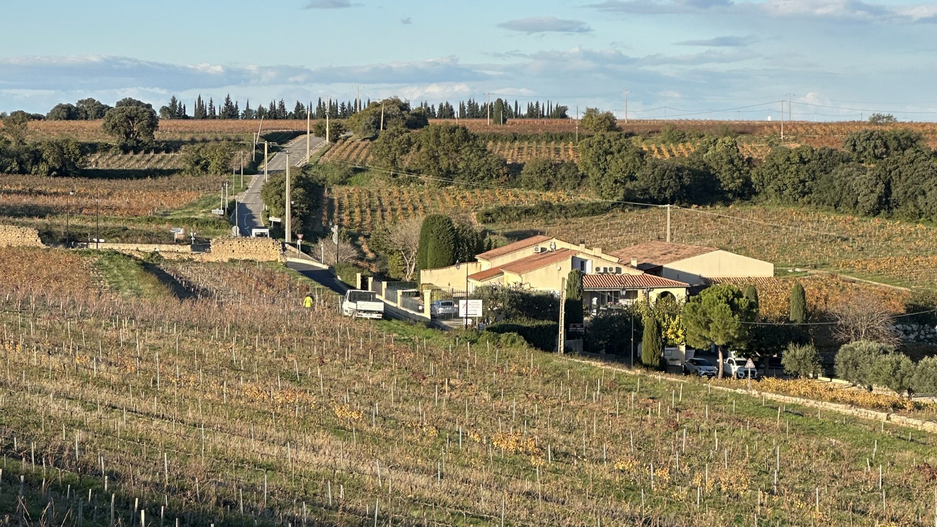 Terraced Southern Rhone Vineyards 1920×1080