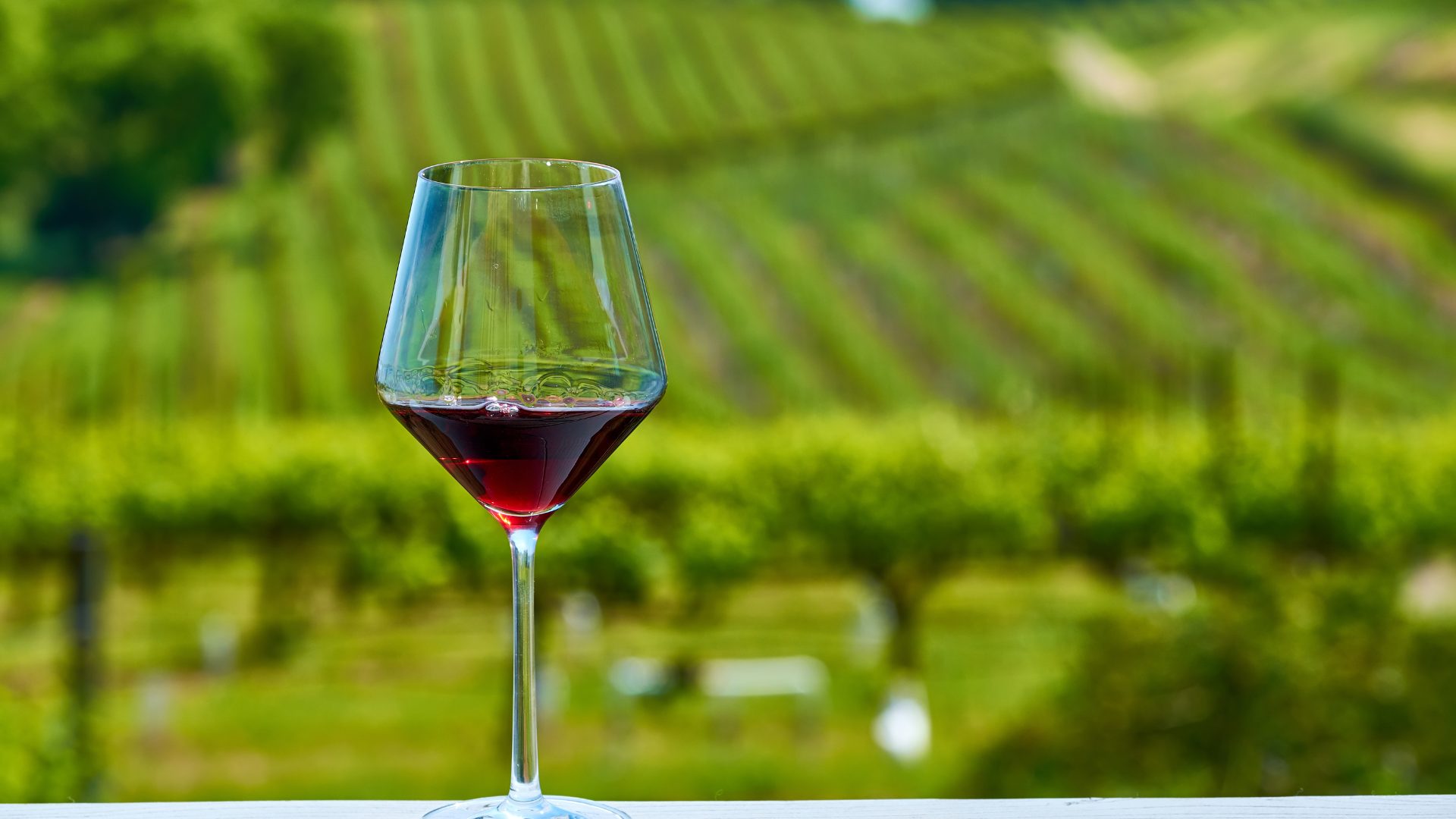 Sonoma County: The Other California Wine Region