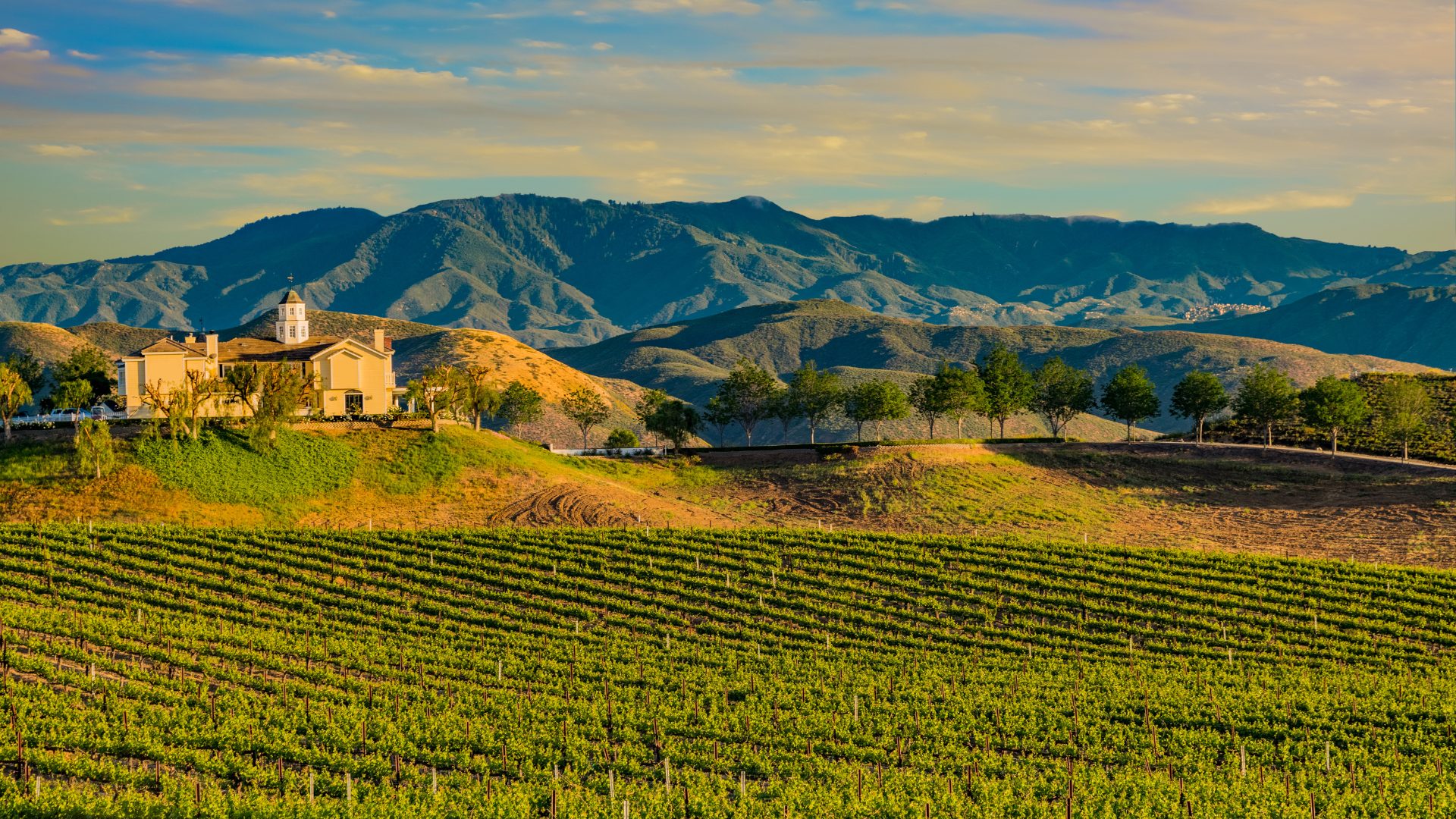 Temecula Valley Vineyard Hills 1920 x 1080
