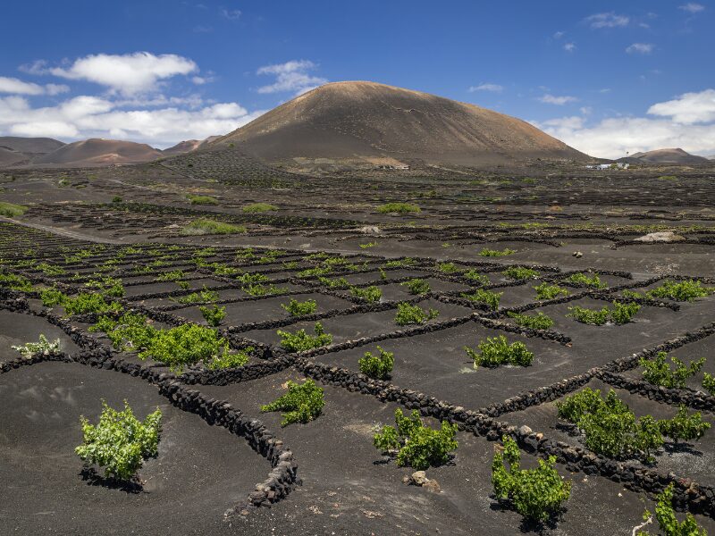 red Volcanic soils